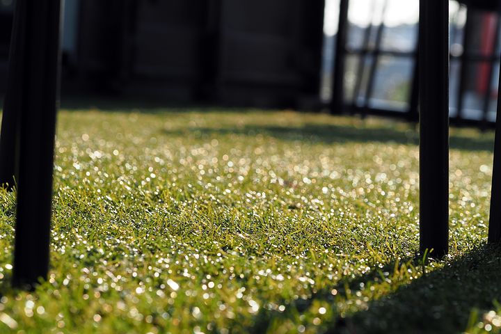 Sydney synthetic grass